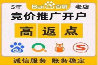 百度推广公司案例研究：揭秘电商行业爆款打造秘诀